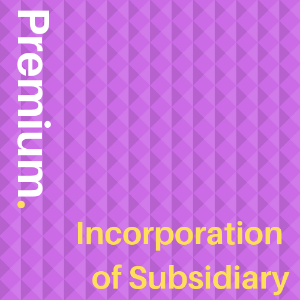 Incorporation of Subsidiary